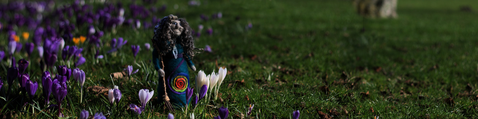 Magic of Spring